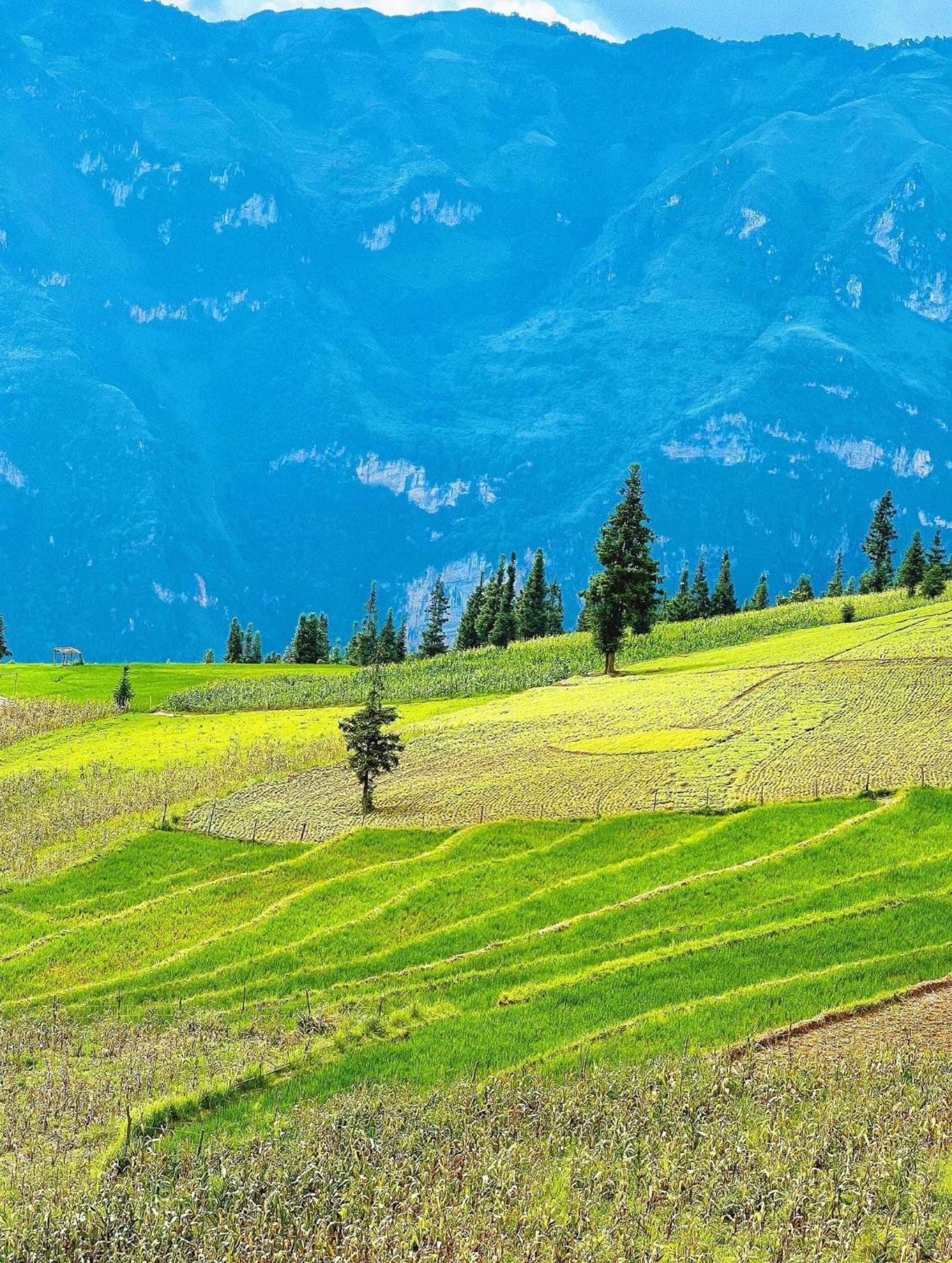 Hang Thuong Hostel - Motorbikes And Tour Ha Giang Εξωτερικό φωτογραφία